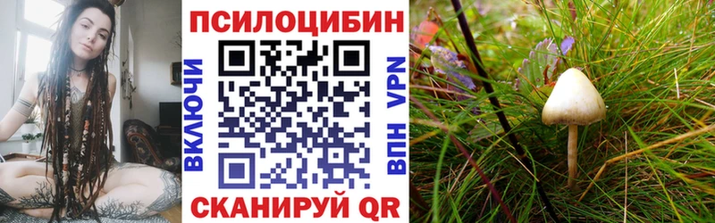 Псилоцибиновые грибы Magic Shrooms  Северодвинск 