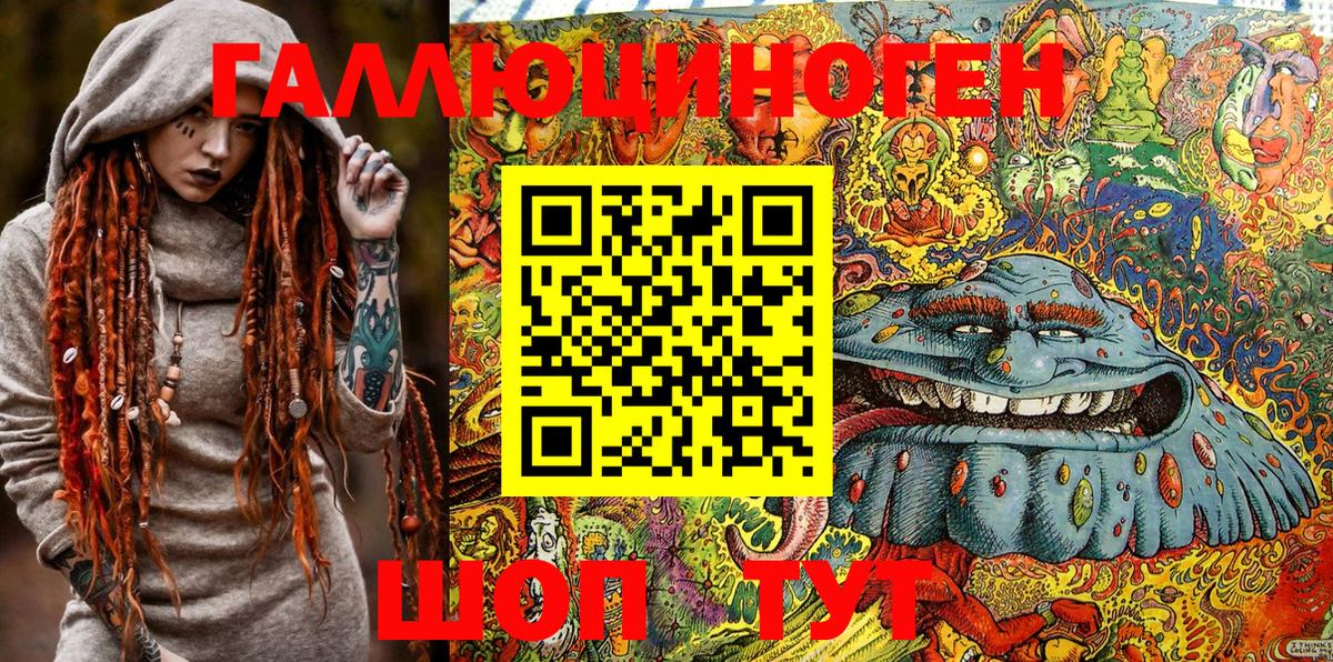Псилоцибиновые грибы Psilocybine cubensis Северодвинск